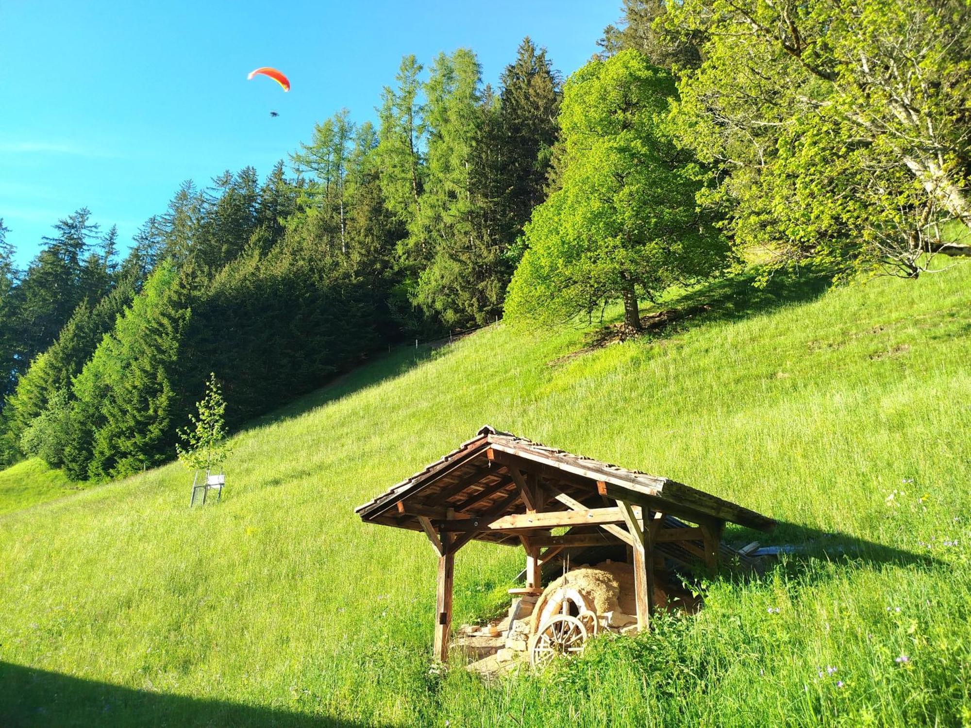 Sonnenhof Wengen - First Hotel Of ヴェンゲン エクステリア 写真
