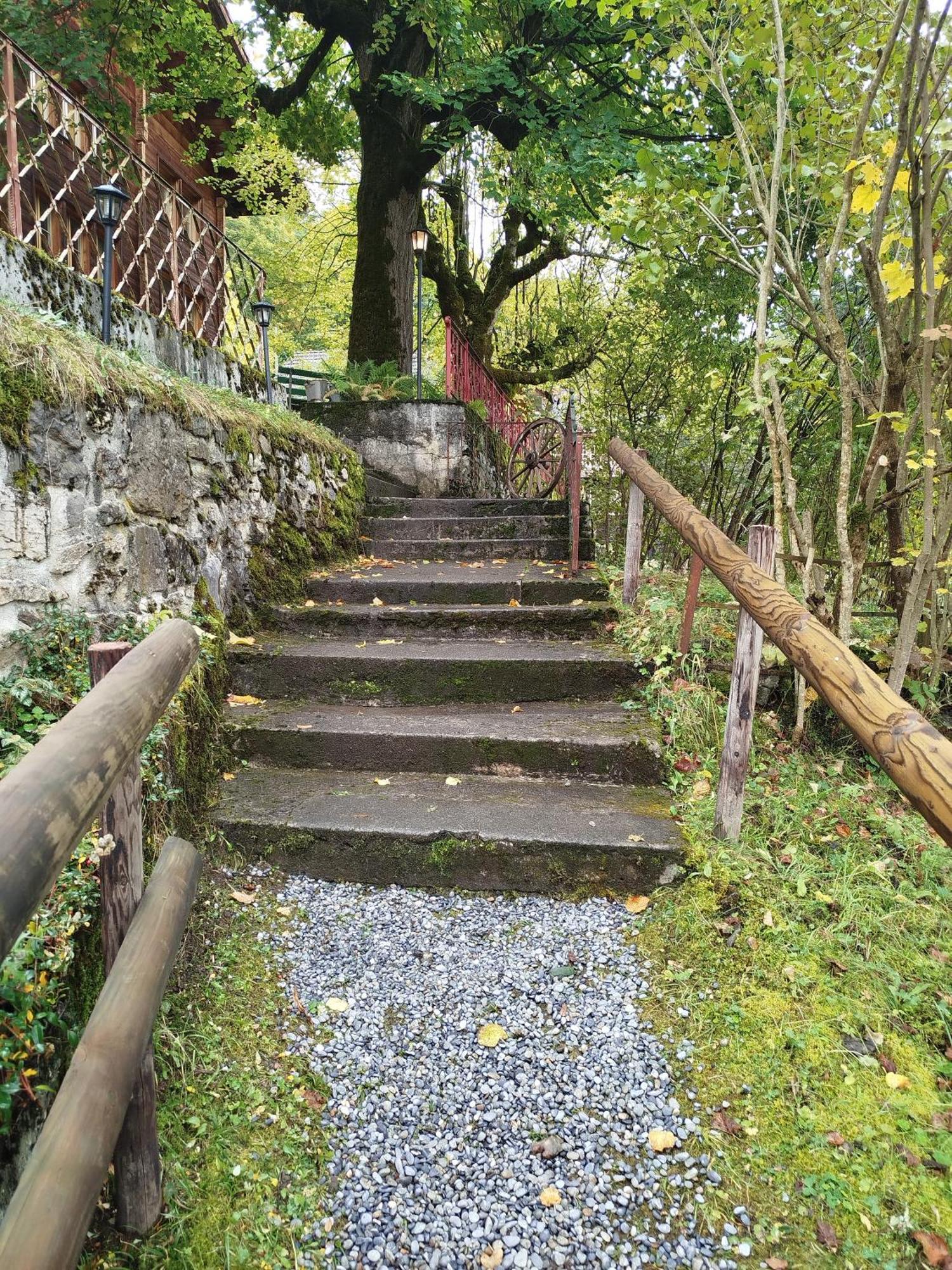 Sonnenhof Wengen - First Hotel Of ヴェンゲン エクステリア 写真